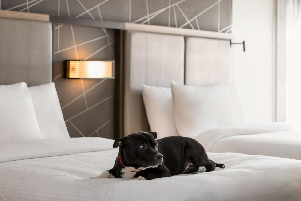 Springhill Suites By Marriott Camp Hill Zewnętrze zdjęcie